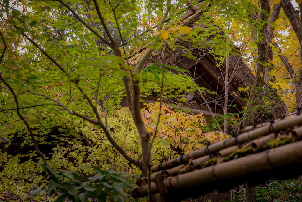 Hotel Kurokawa Onsen Oyado Noshiyu Minamioguni Exteriér fotografie