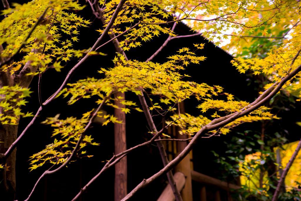 Hotel Kurokawa Onsen Oyado Noshiyu Minamioguni Exteriér fotografie