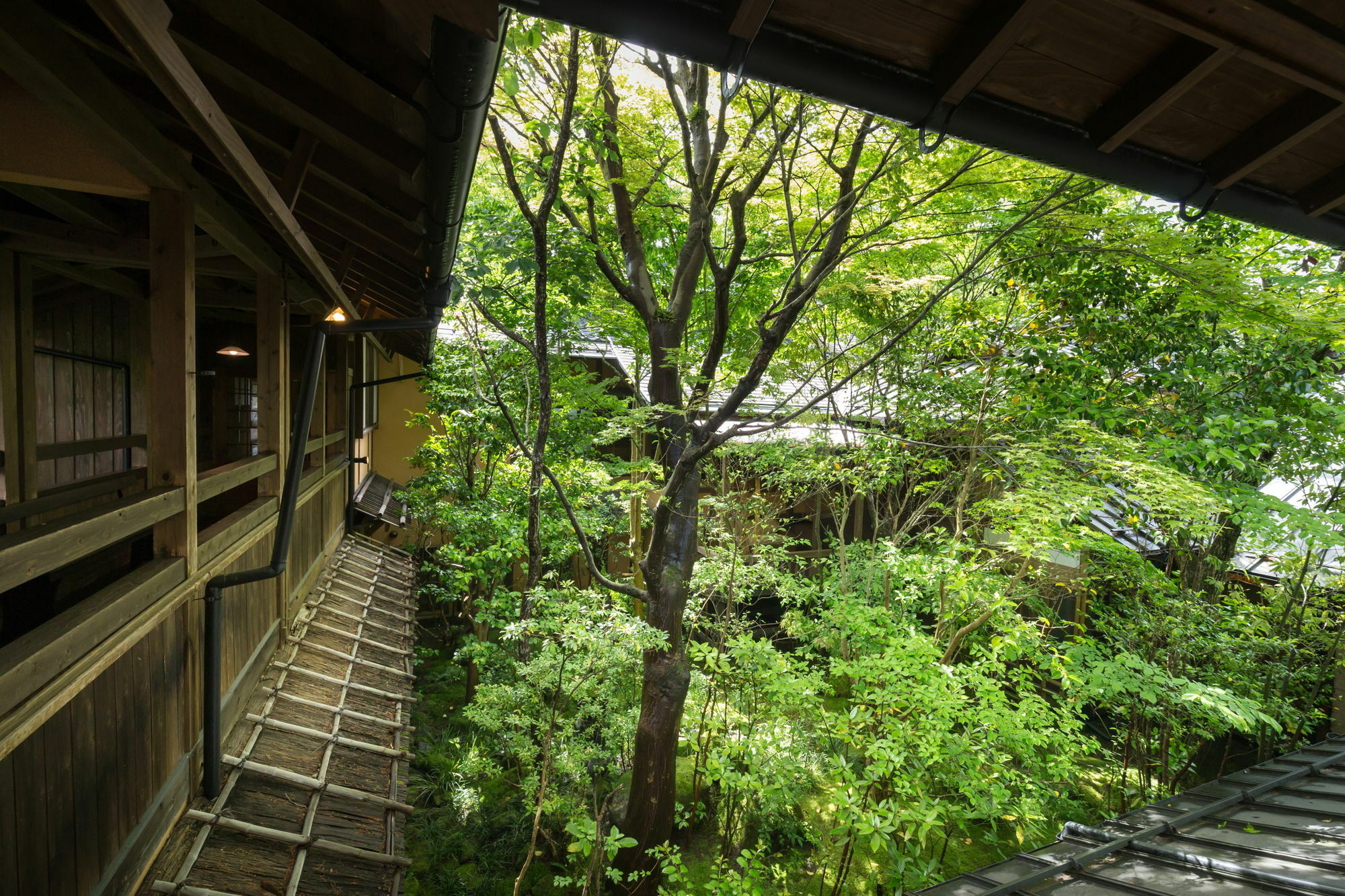 Hotel Kurokawa Onsen Oyado Noshiyu Minamioguni Exteriér fotografie
